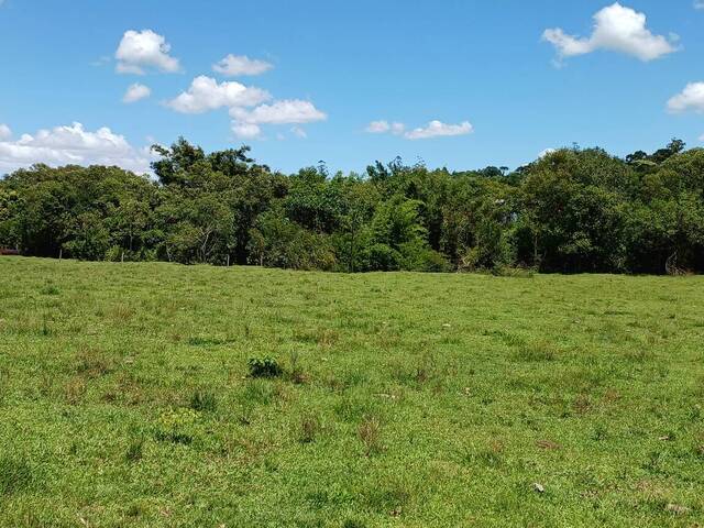 Área para Venda em Gravataí - 4