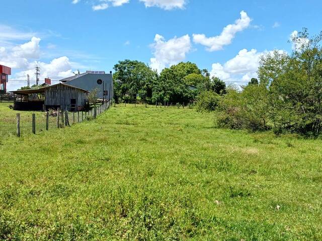 Área para Venda em Gravataí - 5
