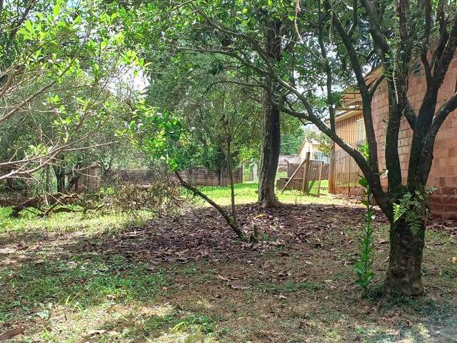 Terreno para Venda em Gravataí - 5