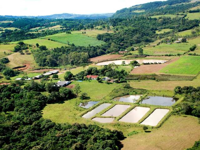 Sítio para Venda em Gravataí - 5