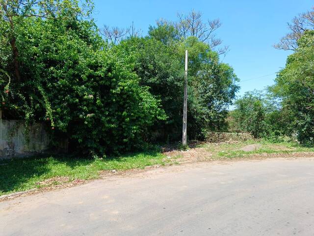 Área para Venda em Gravataí - 4