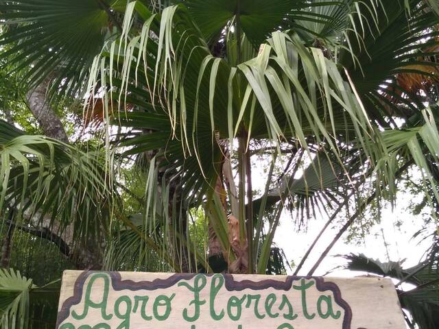 #56 - Sítio para Venda em Gravataí - RS